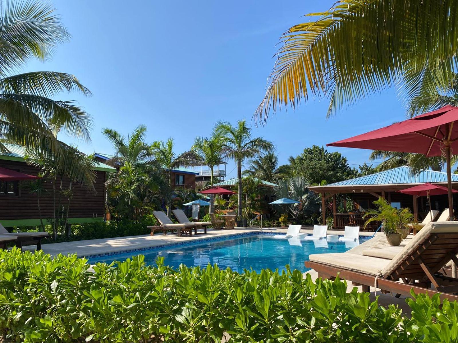 Coconut Row Boutique Hotel Hopkins Exteriér fotografie
